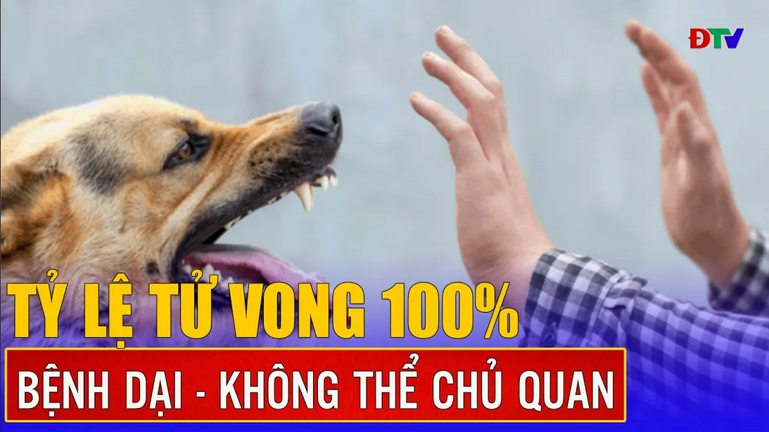 Bệnh dại - Không thể chủ quan