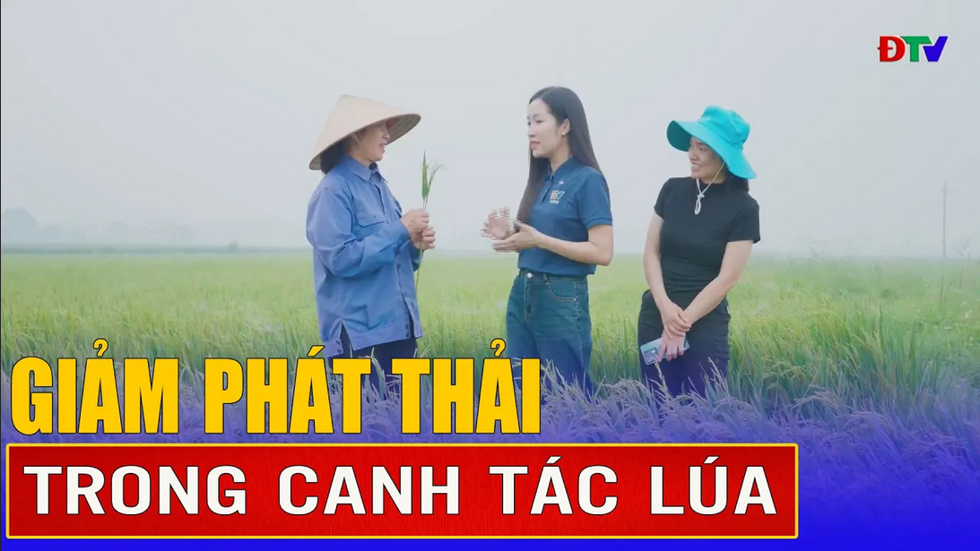 Giảm phát thải trong canh tác lúa