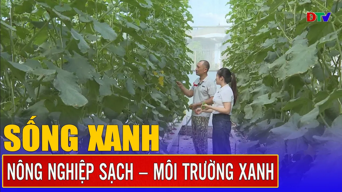 Nông nghiệp sạch - Môi trường xanh