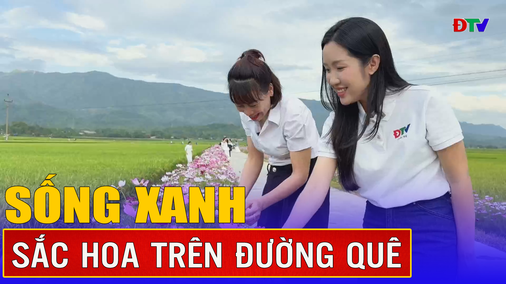 Sắc hoa trên đường quê