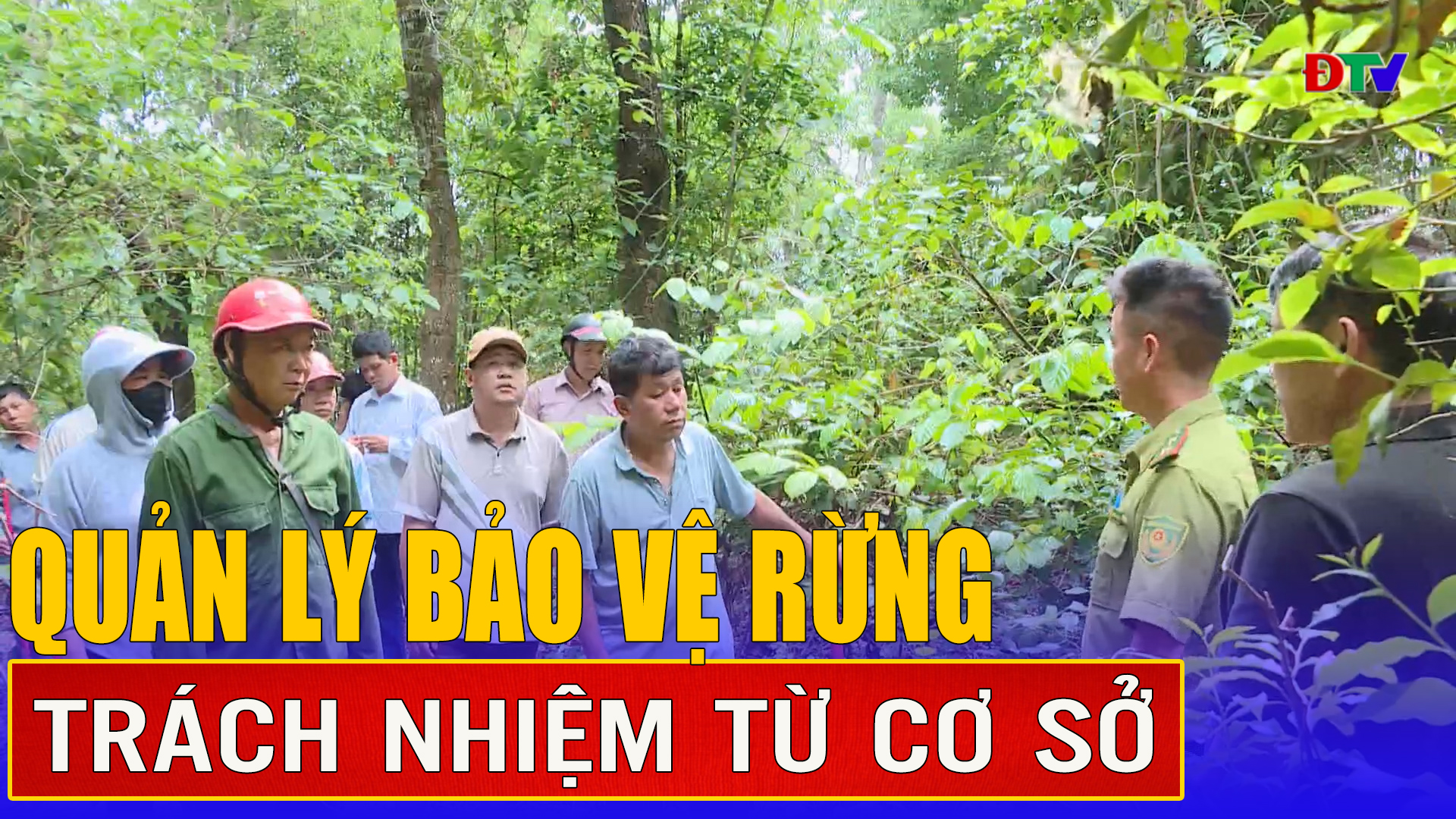 Quản lý bảo vệ rừng - Trách nhiệm từ cơ sở