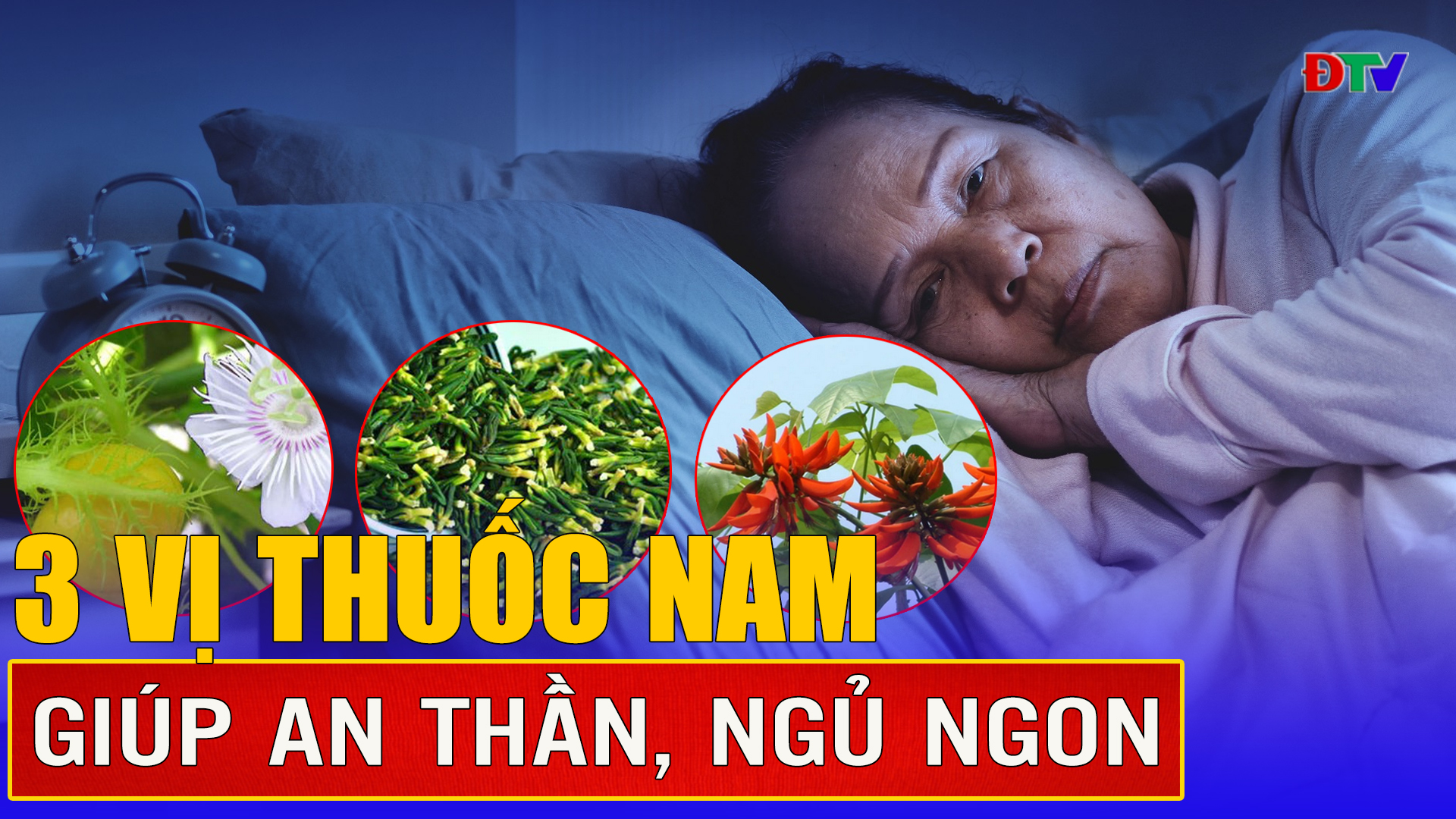 3 vị thuốc nam giúp an thần, ngủ ngon