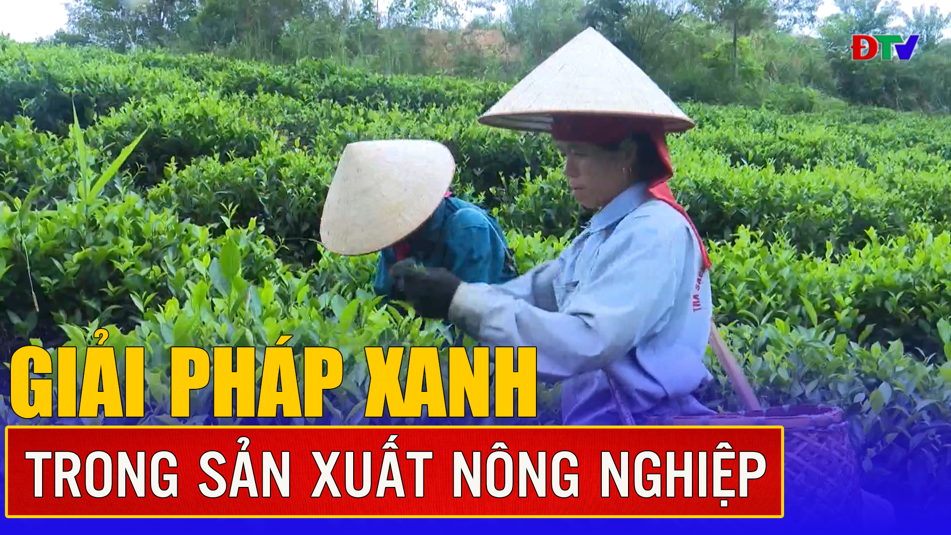 Giải pháp xanh trong sản xuất nông nghiệp