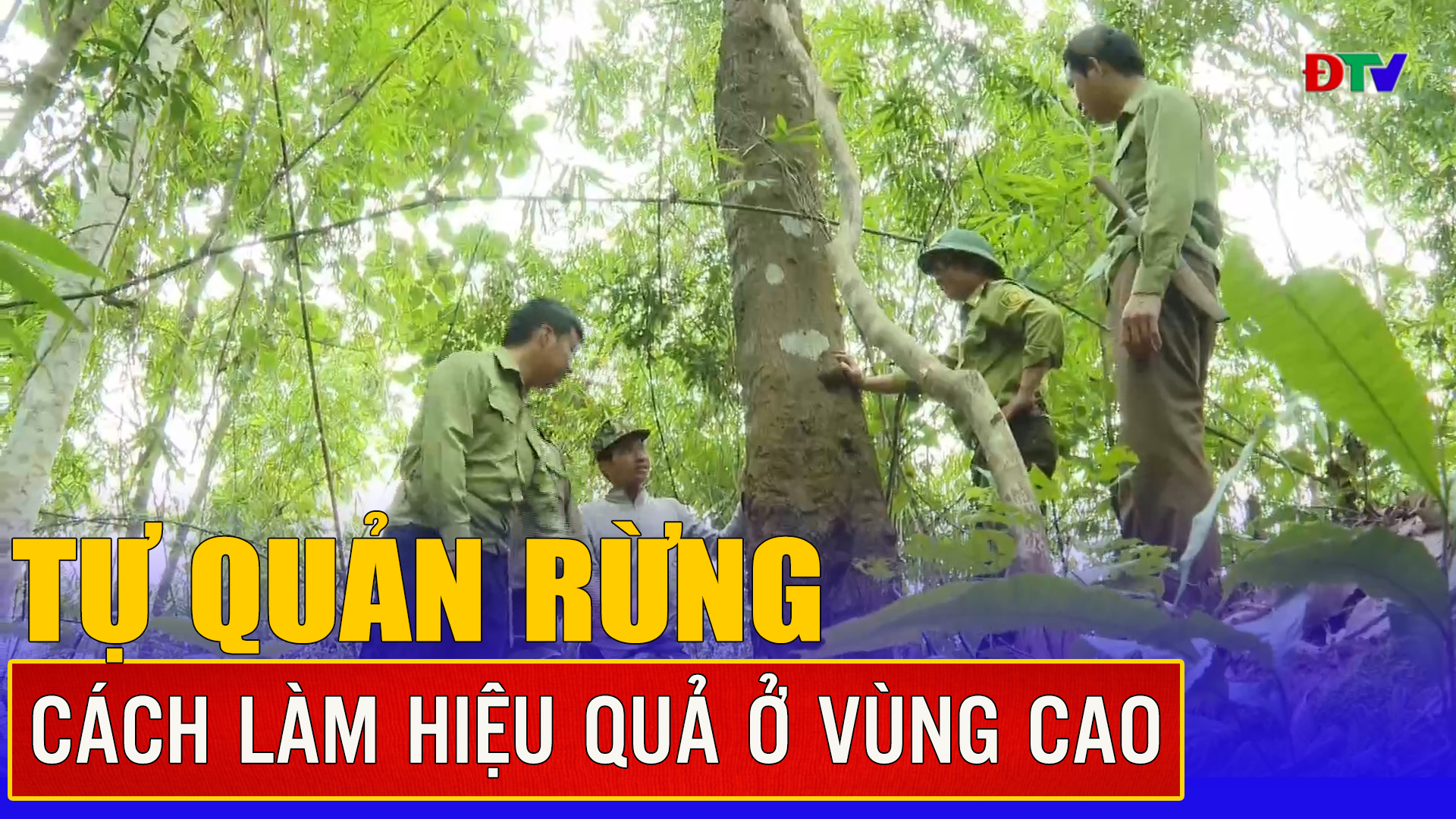 Tự quản rừng, cách làm hiệu quả ở vùng cao