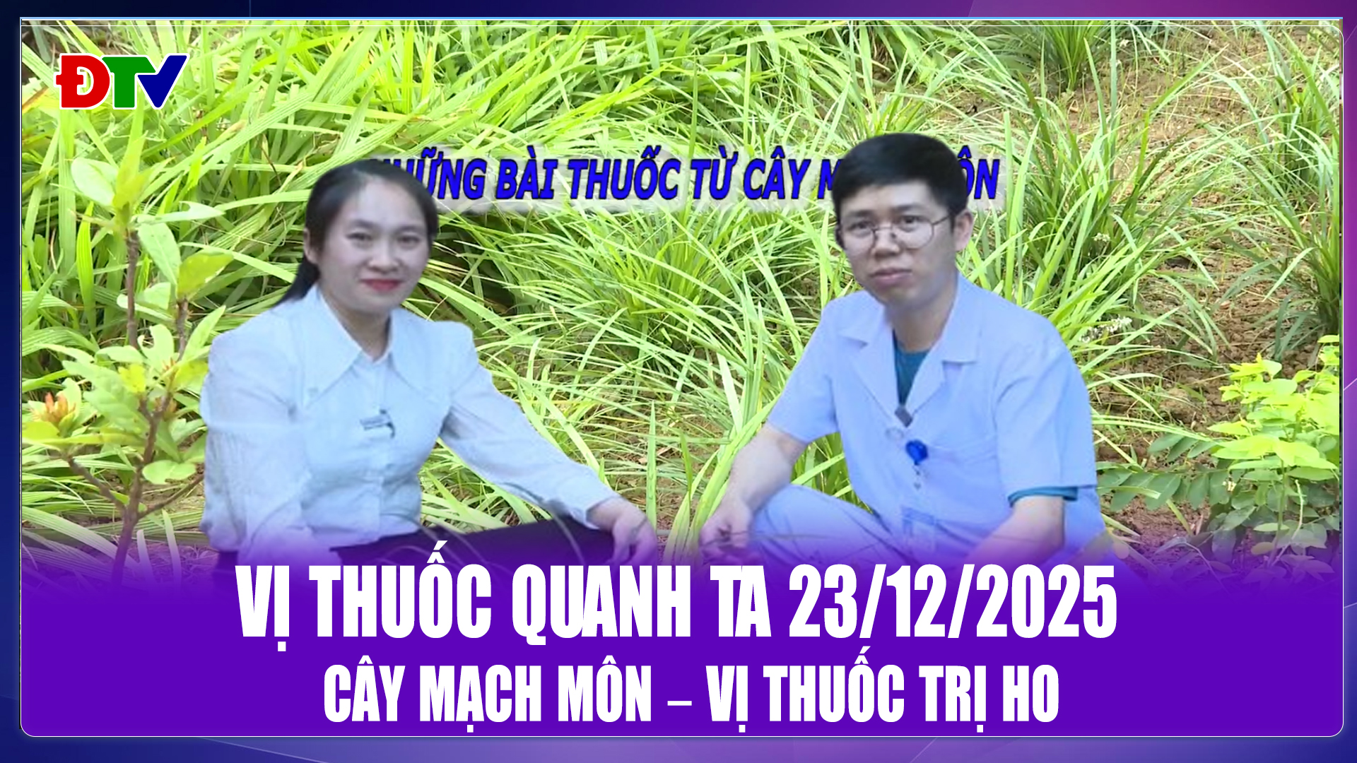Cây Mạch Môn – Vị thuốc trị ho