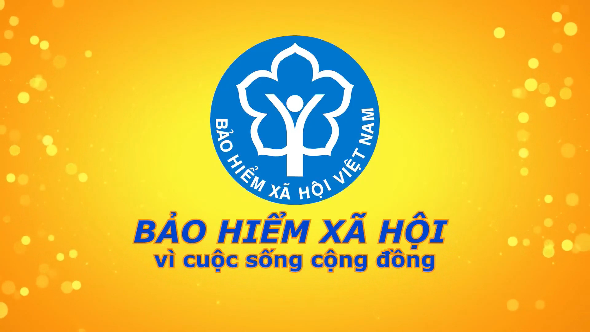 Bảo hiểm xã hội (Ngày 24-12-2025)