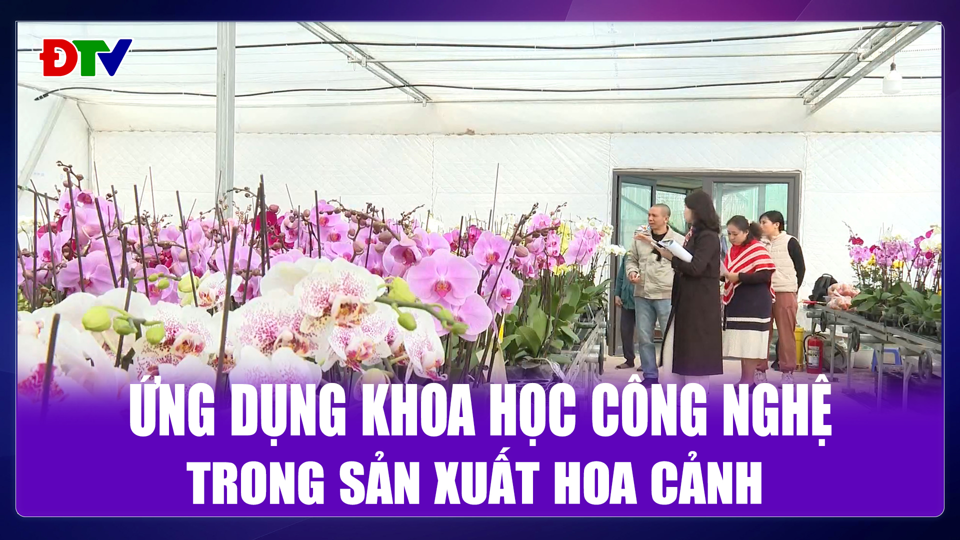 Ứng dụng khoa học công nghệ trong sản xuất hoa cảnh