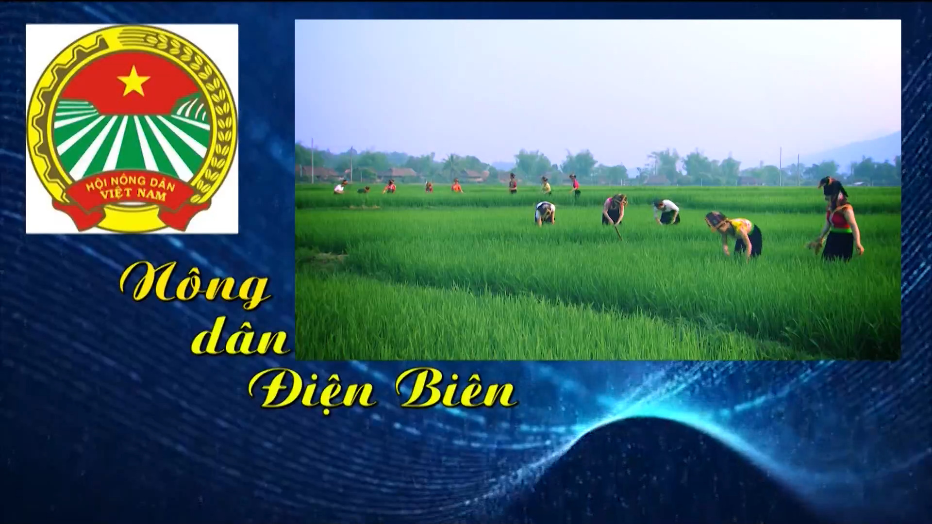 Nông dân Điện Biên (Ngày 6-4-2026)